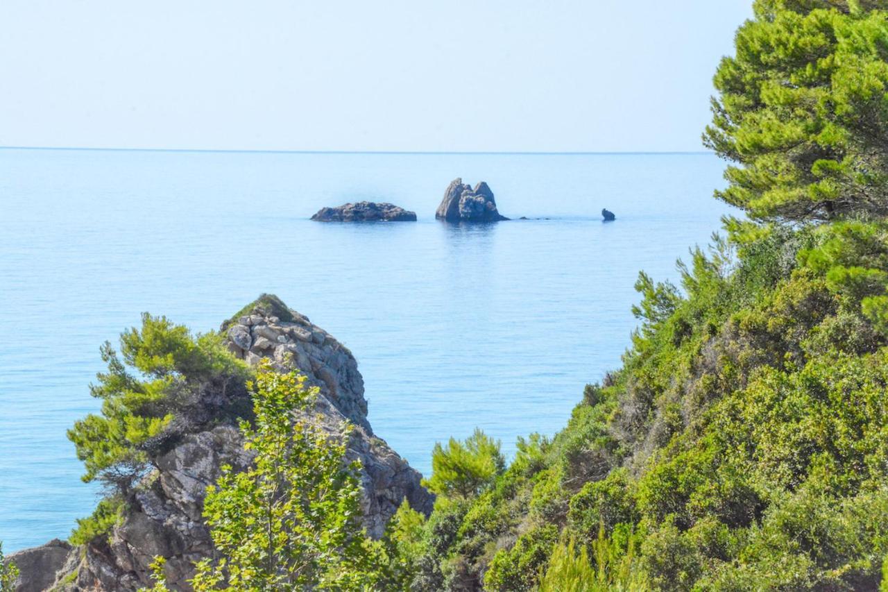 Corfu Resorts Apartments ペレカス エクステリア 写真